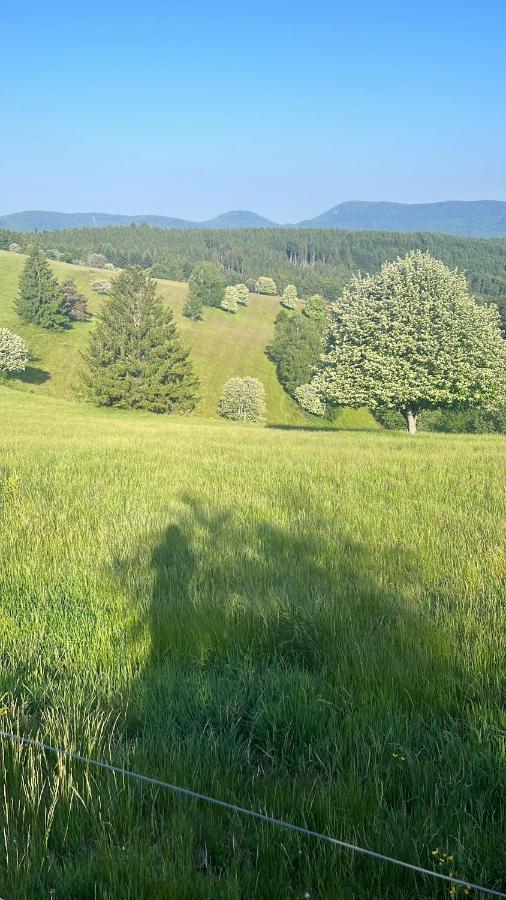 Gite De Montagne -Bellefosse Alsace Экстерьер фото