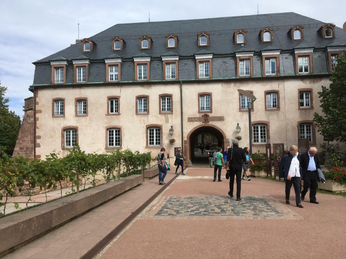 Gite De Montagne -Bellefosse Alsace Экстерьер фото